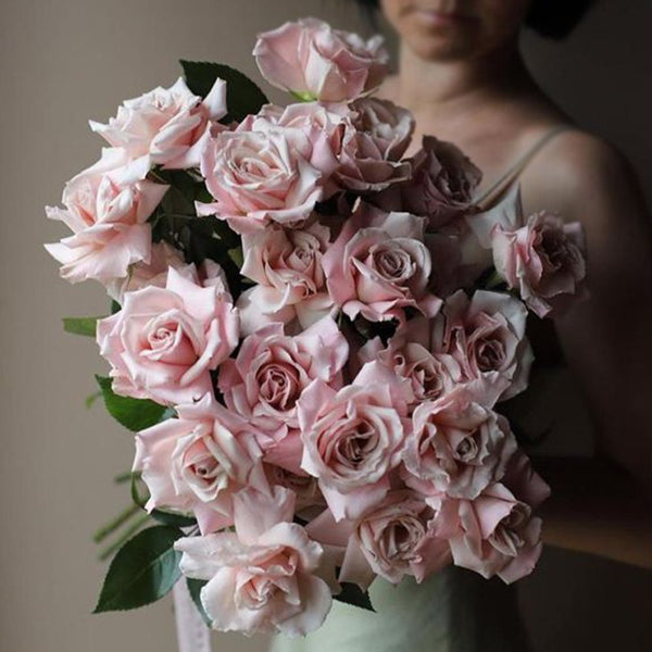Delicate Flora